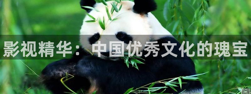 长津湖免费观看完整版高清西瓜