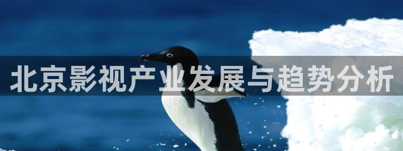 西瓜影院手机版 下载