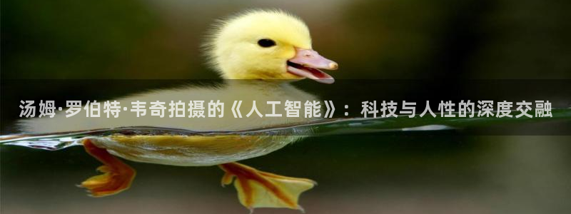 西瓜视频tv