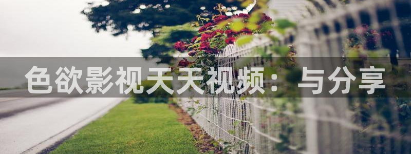西瓜网在线观看免费