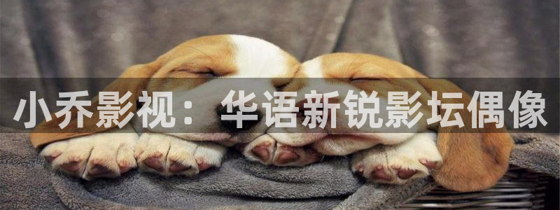 免费西瓜视频