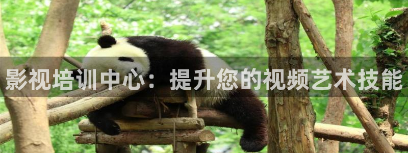 狂飙免费观看完整版在线观看西瓜
