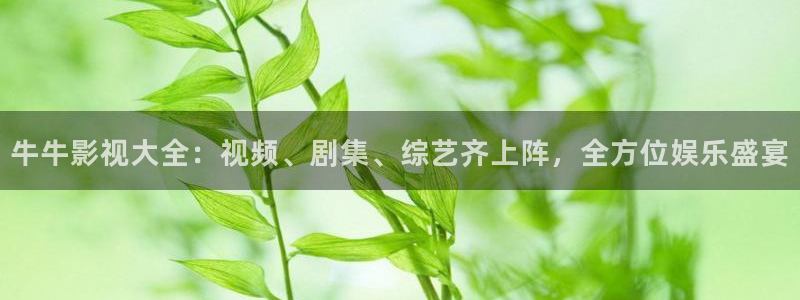 西瓜视频官方最新版本的