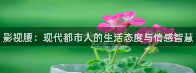 西瓜视频在线观看电视