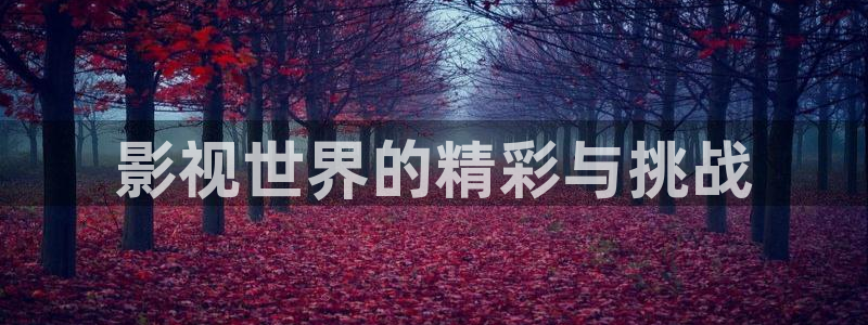 坚如磐石在线观看完整版西瓜免费