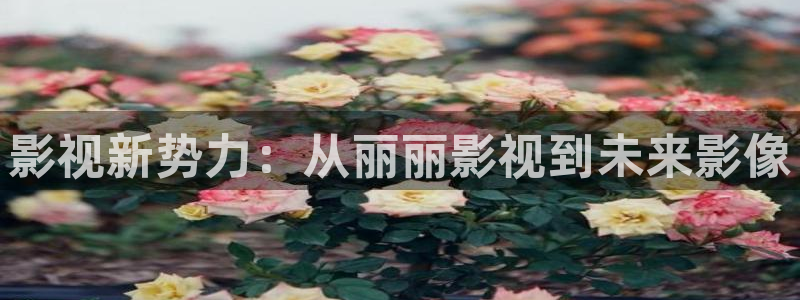 西瓜影院手机版免费观看