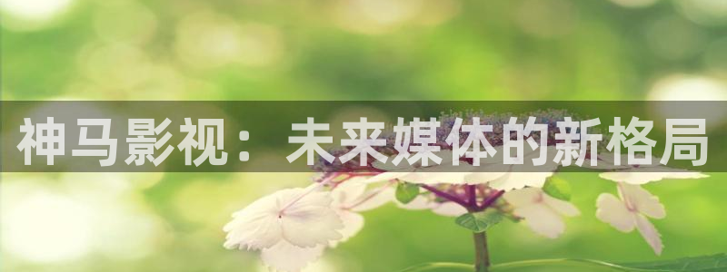 西瓜网在线观看