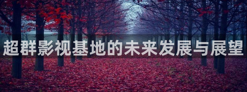 潜伏在黎明之前免费观看西瓜