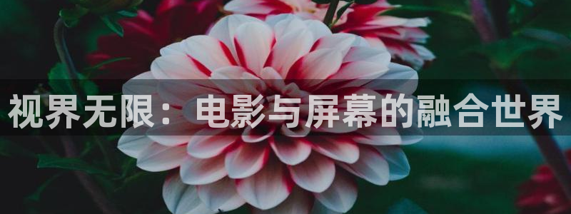 西瓜看球在线观看免费